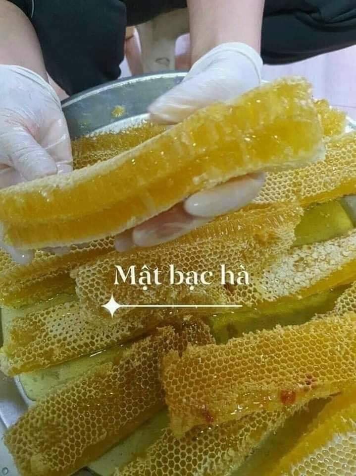 Mật ong bạc hà chuẩn Hà Giang