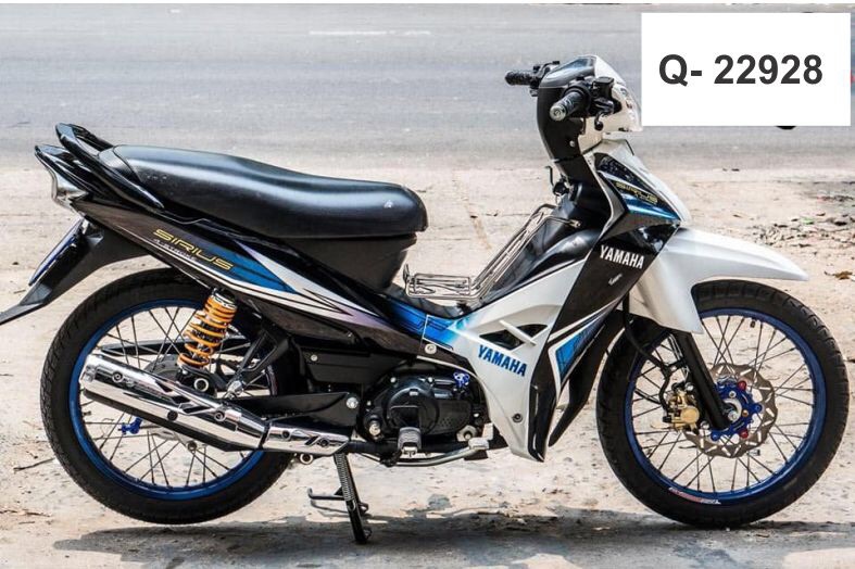 Tem rời Sirius thường trắng xanh đen