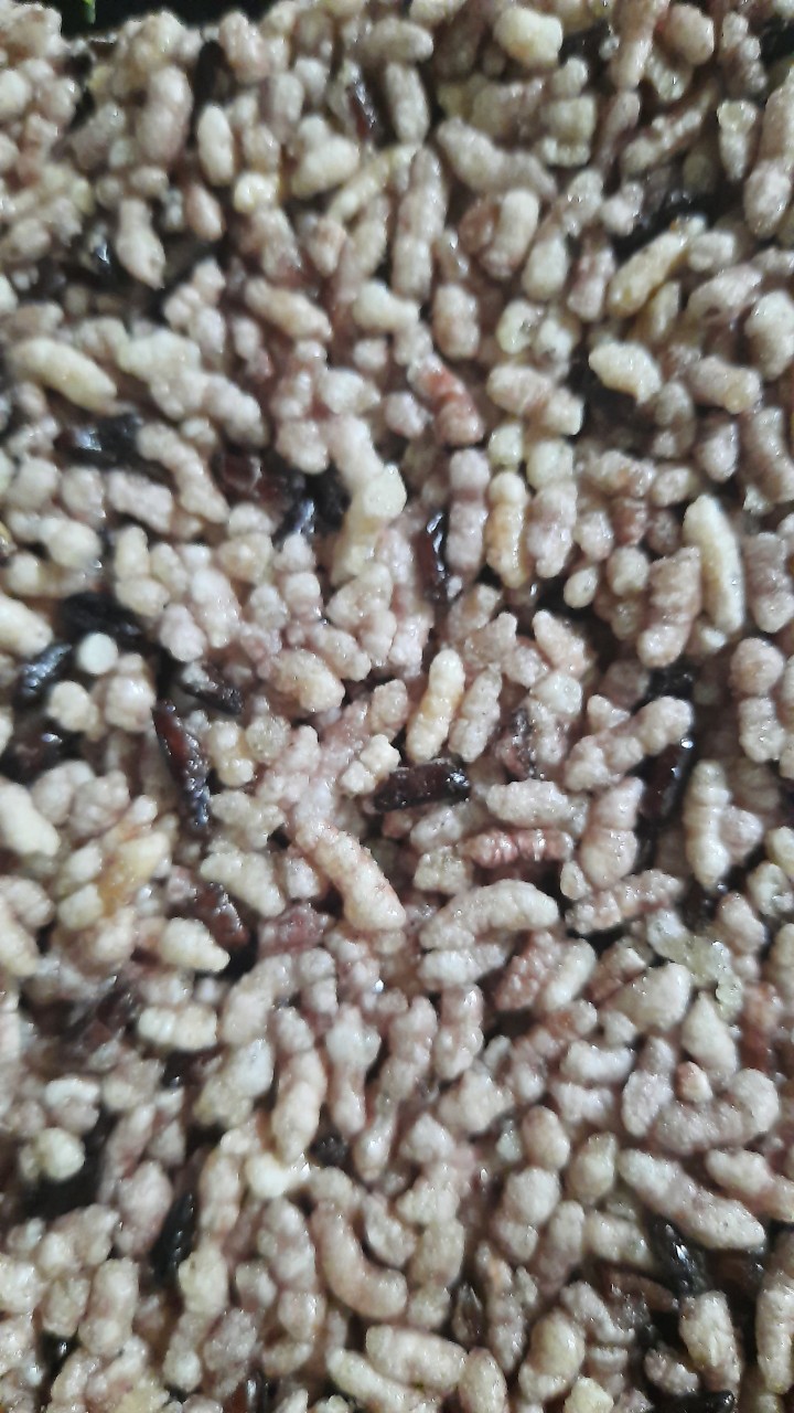 (1kg) CƠM CHÁY NẾP THAN PHÔI CHƯA CHIÊN LASHAM.(9X6 CM)