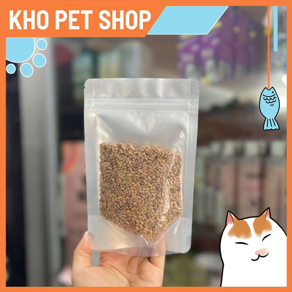 Hạt giống cỏ mèo gói 100gr