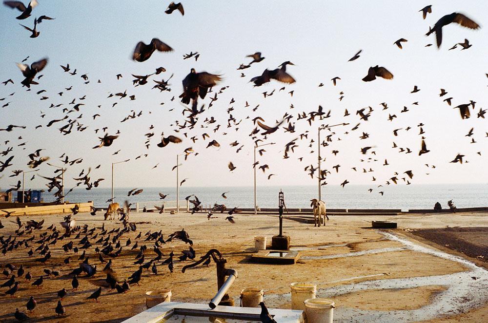 Film Kodak ColorPlus 200 Indate Rẻ