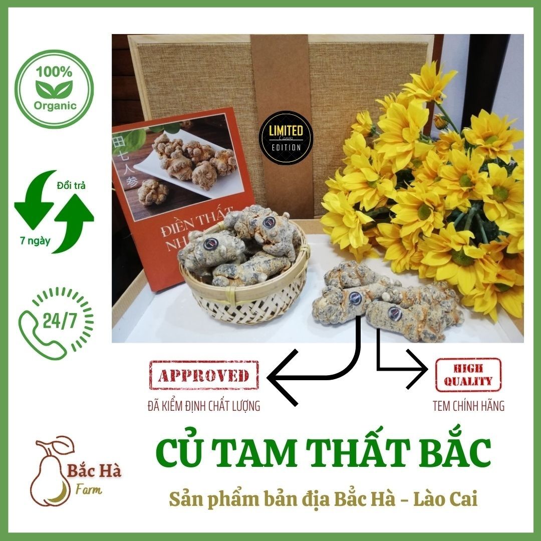 1kg củ tam thất bắc khô bắc hà - lào cai bachafarm ttb03 hàng thượng hạng premium quality-tam thất bắc có tác dụng bồi bổ cơ thể, tăng cường sức khỏe, tiêu u tán hạch