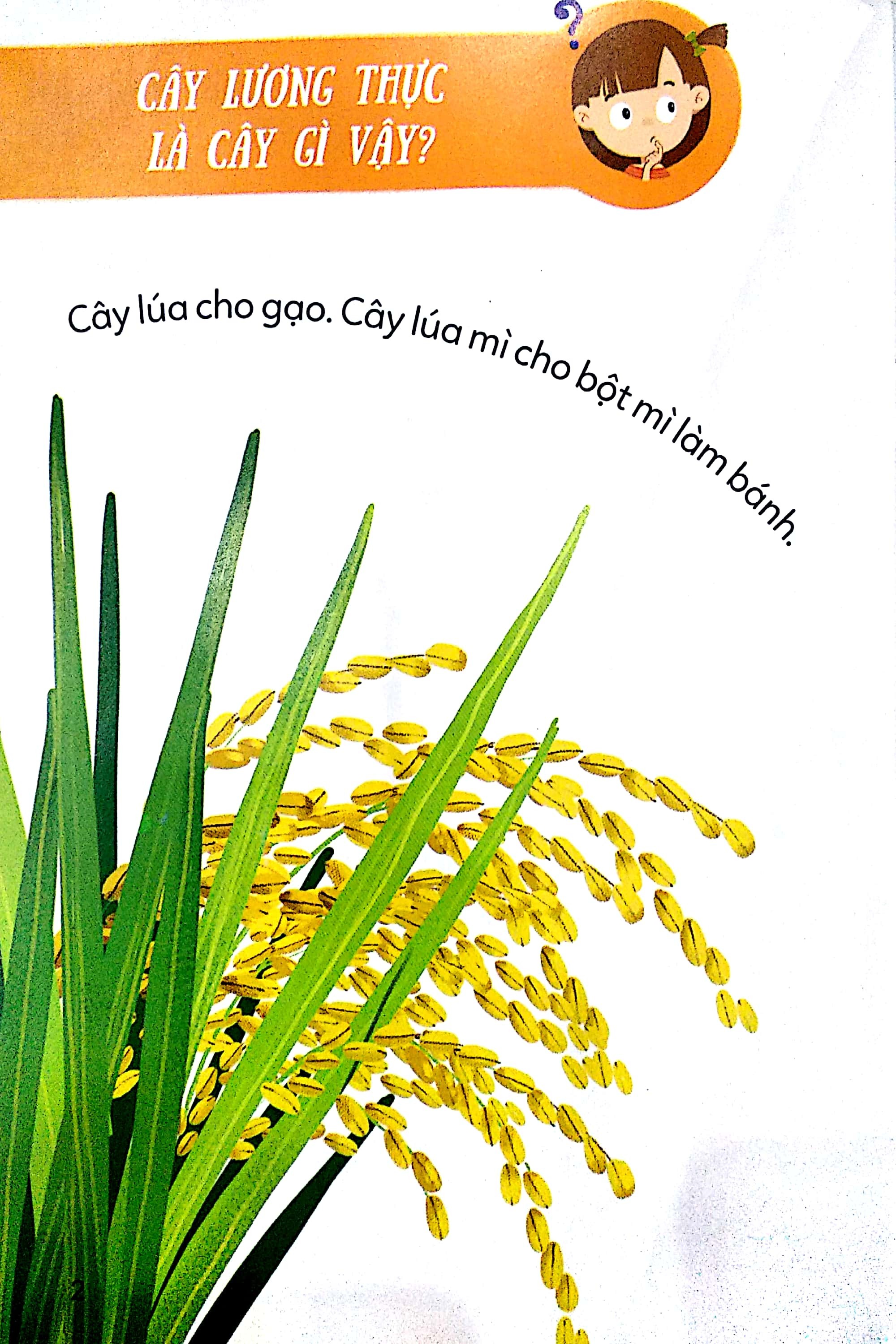 Bé Khám Phá Thế Giới Thực Vật - Cây Lành Cây Độc