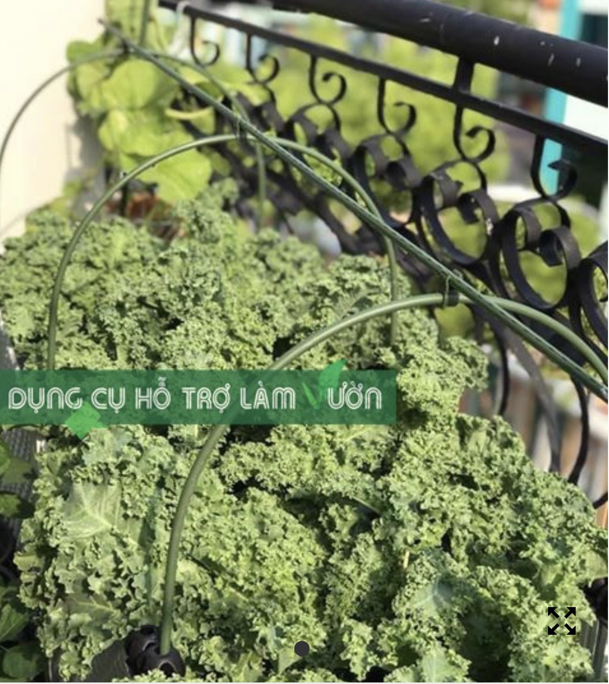 10 Khung vòm trồng rau Nhật Bản