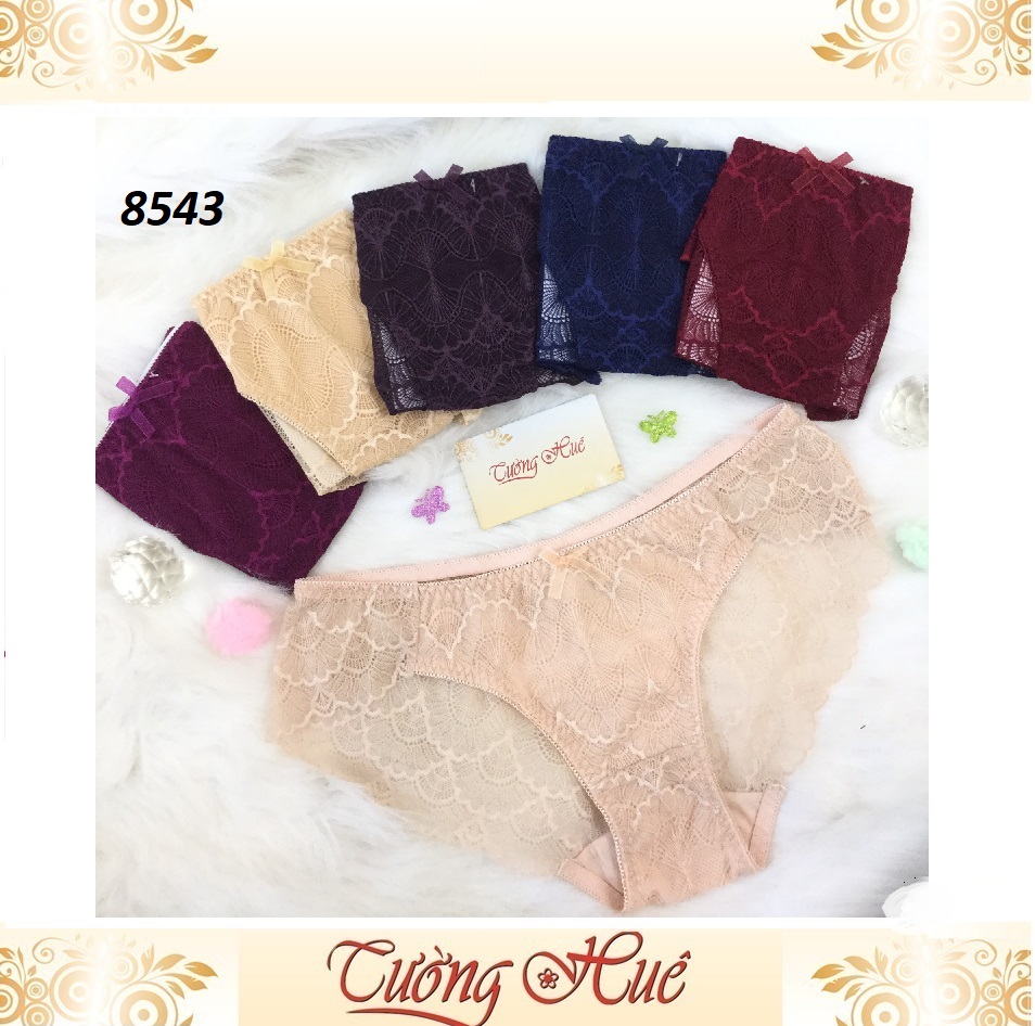 Quần lót nữ annie qe8543 ren.
