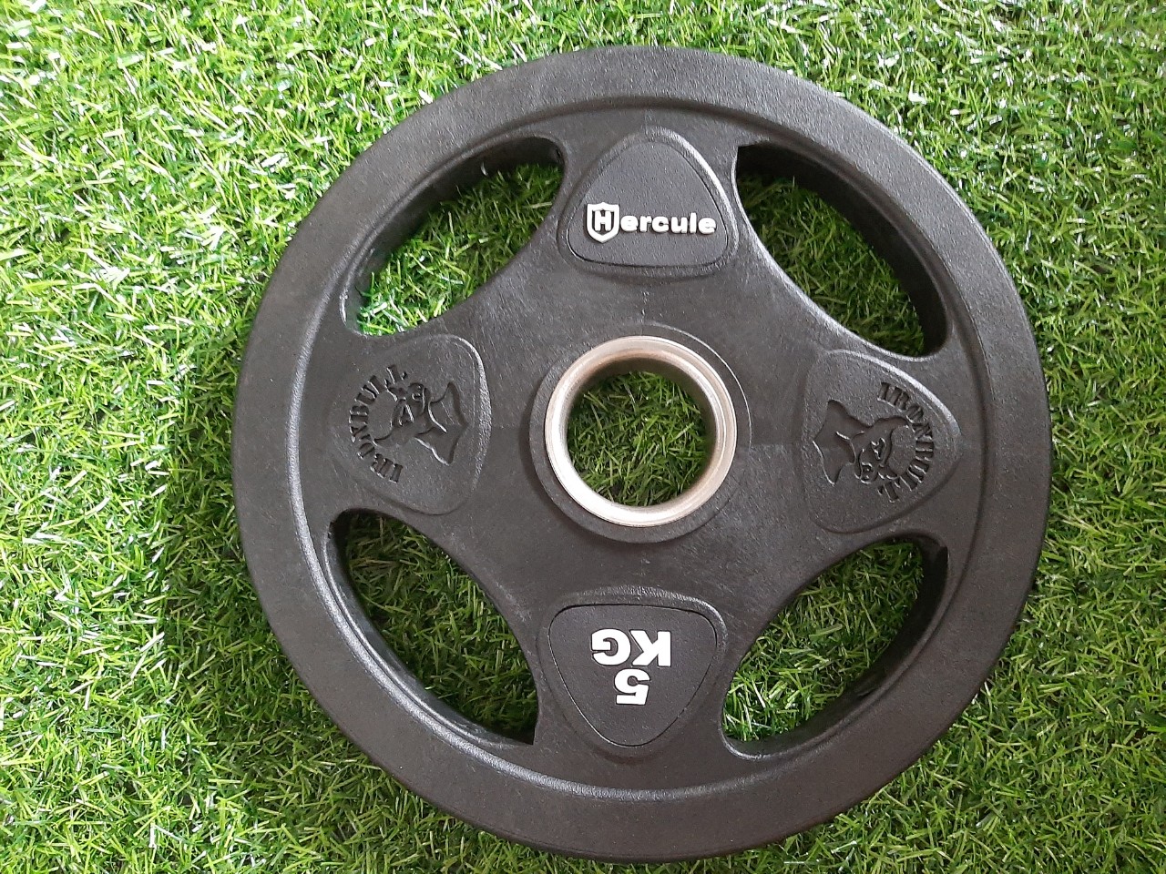 Tạ bánh cao su Iron Bull 5kg