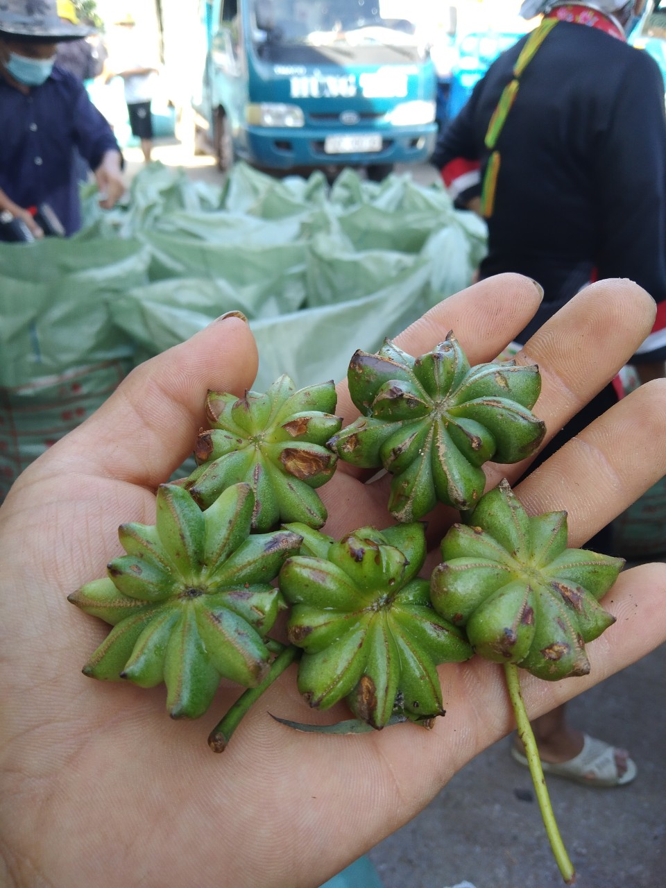 Hoa Hồi 500g