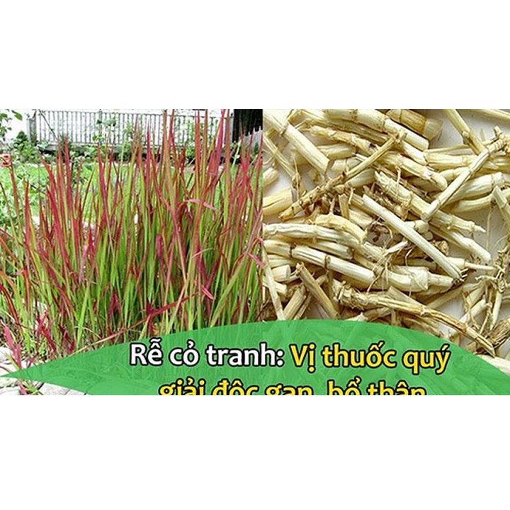 RỄ CỎ TRANH KHÔ (thanh nhiệt giải độc)100gr