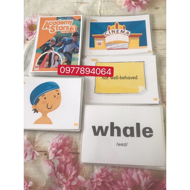 Flashcards Academy stars stater 1-2-3-4 (khổ A5, in 2 mặt)