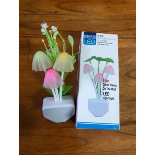 Đèn ngủ cây nấm Hoadien1