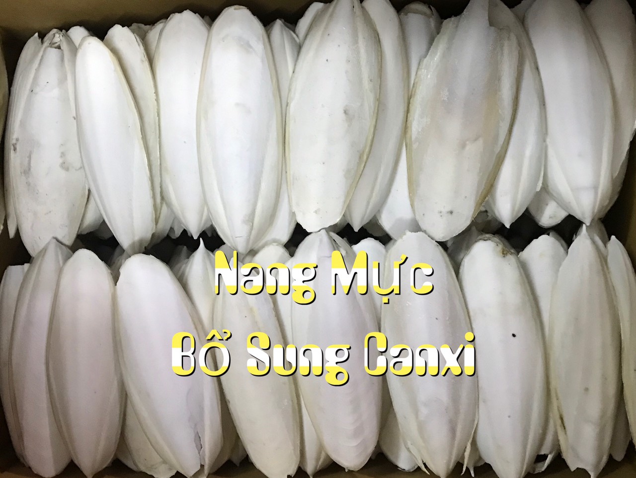 Nang mực cho chim cảnh