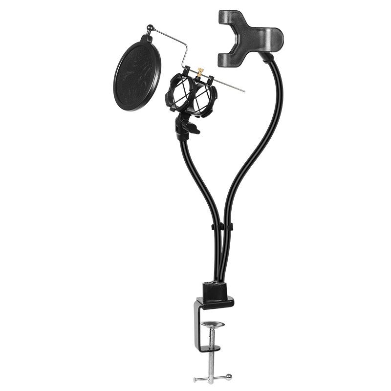 Microphone livestream