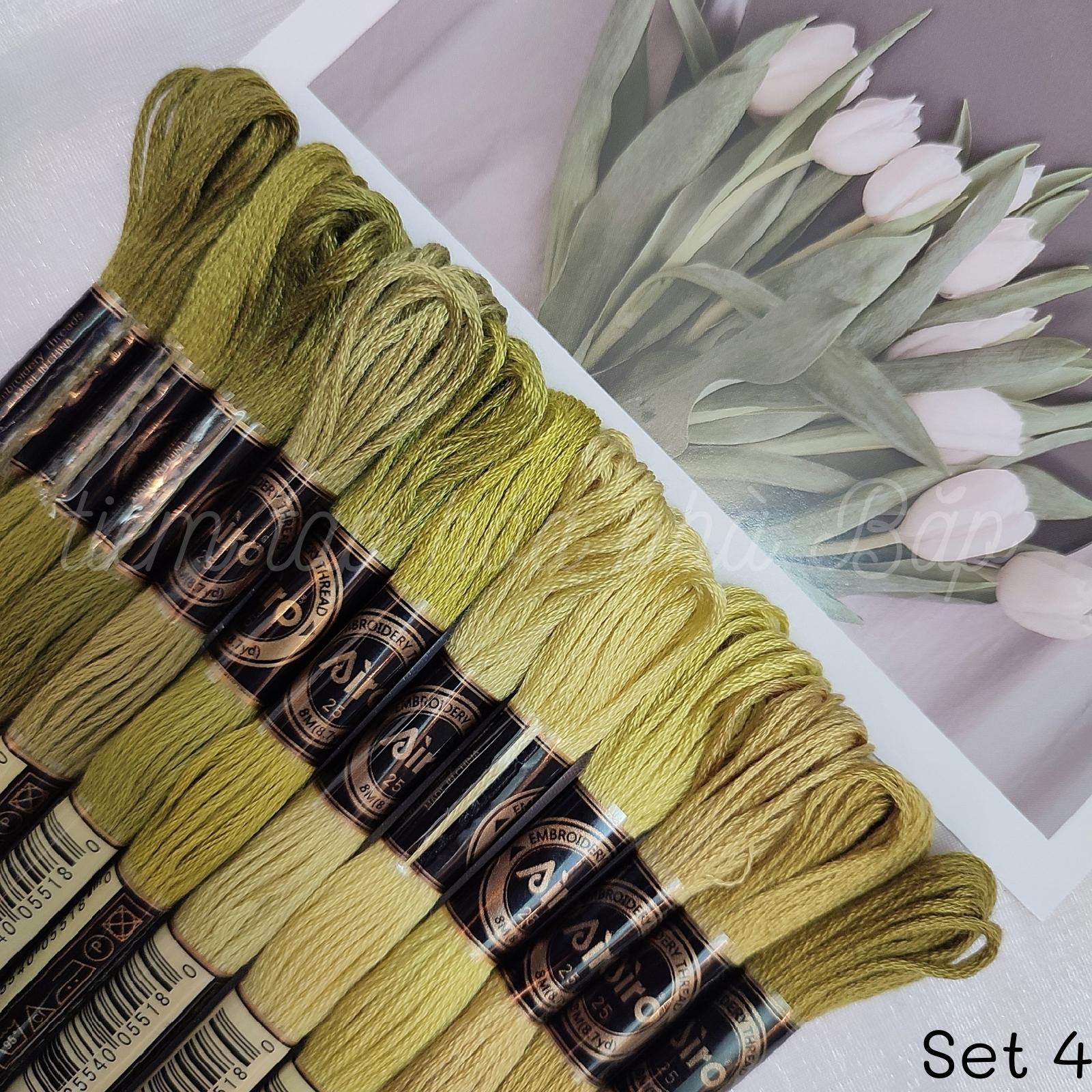 Set Chỉ Thêu Airo Tông Xanh Lá