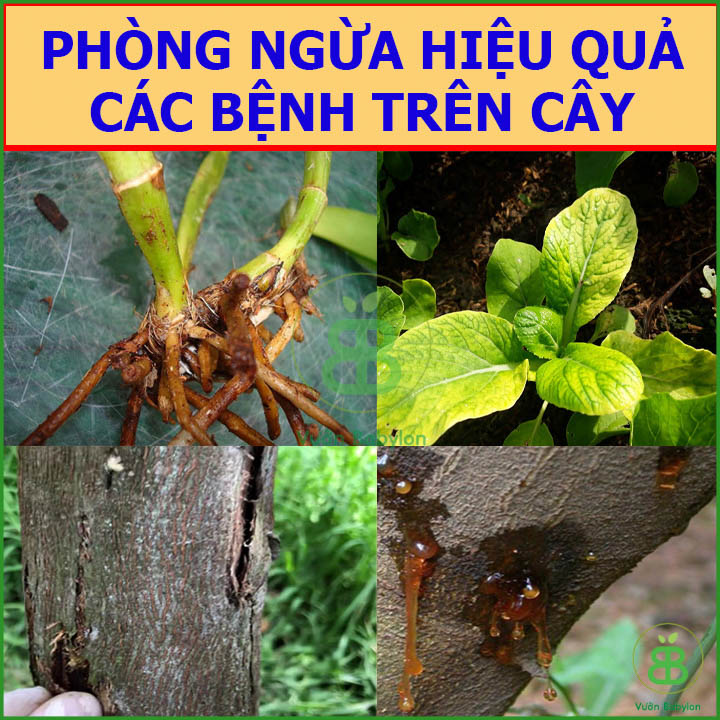 Nấm Đối Kháng Trichoderma Điền Trang Gói 1KG