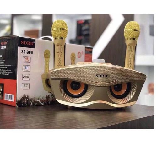 LOA BLUETOOTH SDRD - 306 Cực Ngầu Với Mắt Cú