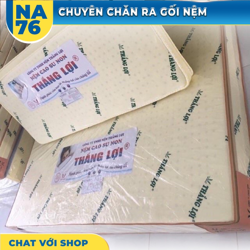 Nệm cao su non thắng lợi gấp 3 dày 10 Phân