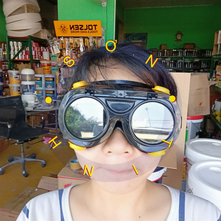KÍNH HÀN BẢO HỘ Tolsen 45075