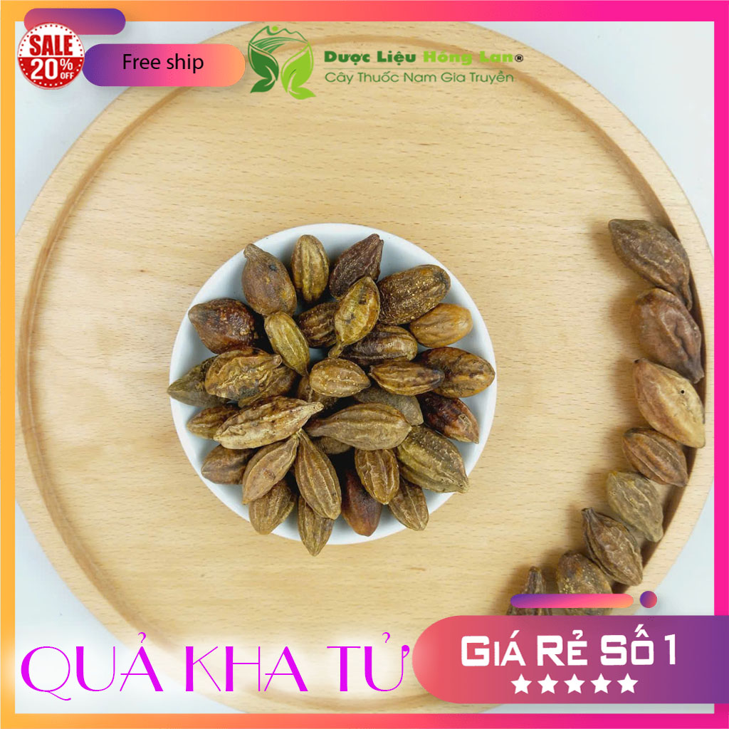 ✅[THƯỢNG HẠNG] 100g Quả Kha T.ử sấy khô loại 1