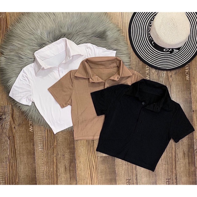 🔥croptop body cổ bẻ trơn