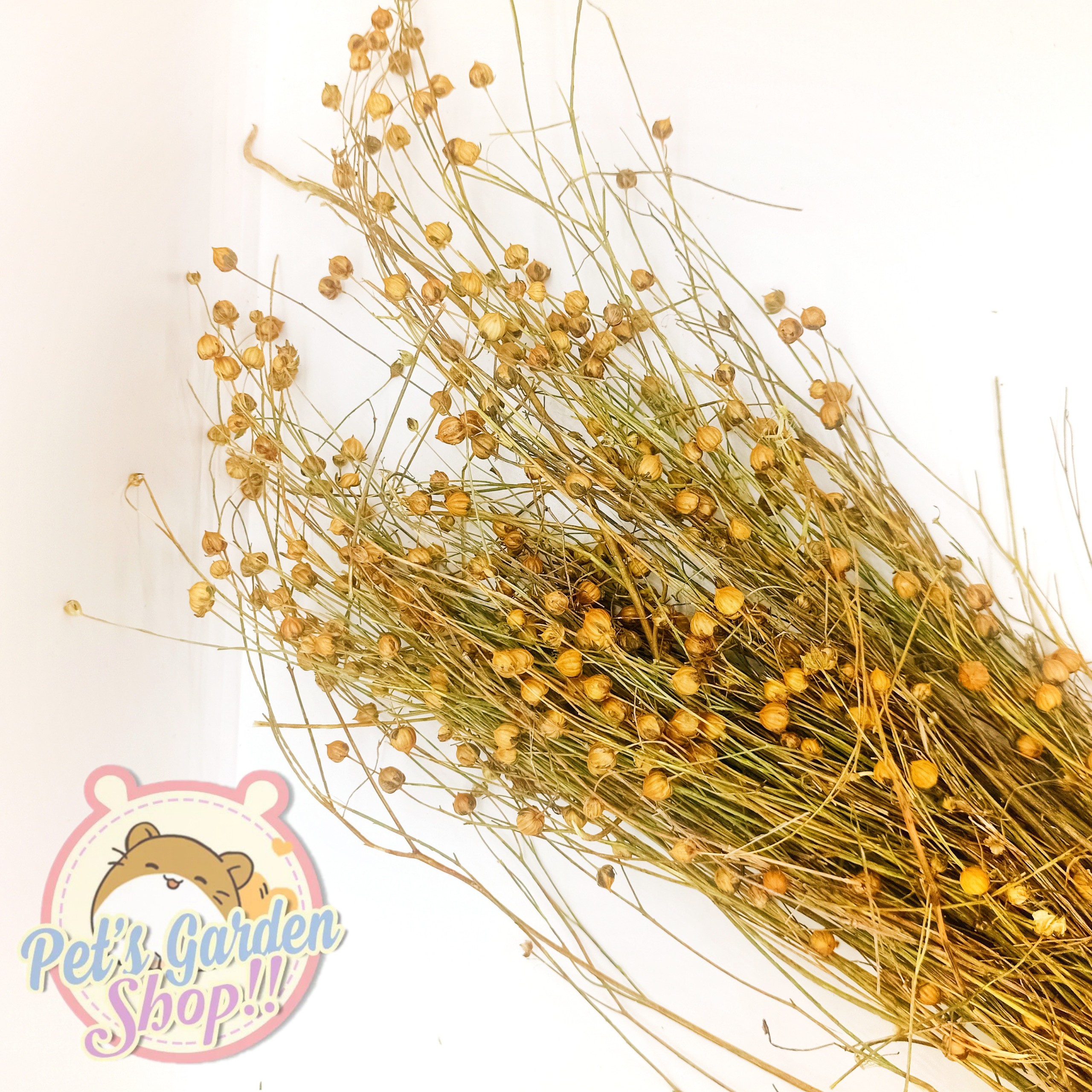 Cành lanh nguyên hạt - Thức ăn cho hamster