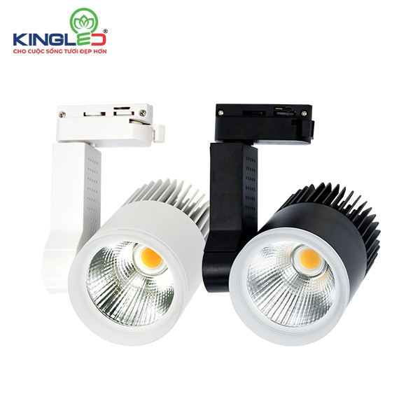 Đèn Led Rọi Ray Beryl - Kingled (DTL-SS)