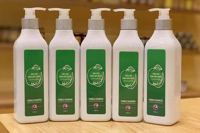 Dầu gội tinh dầu bưởi Trần Mao