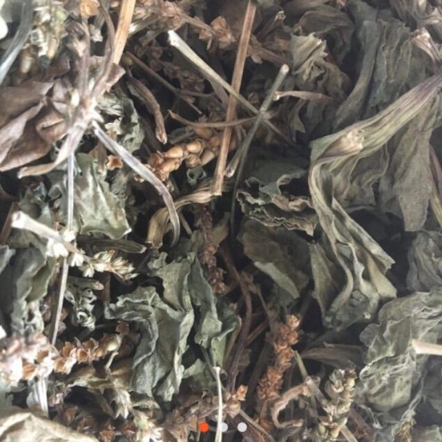 100g bông mã đề khô