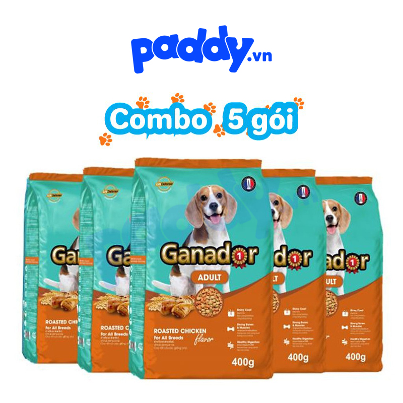 [Combo 5] Hạt Ganador Cho Chó Trưởng Thành - Gà Quay 400g