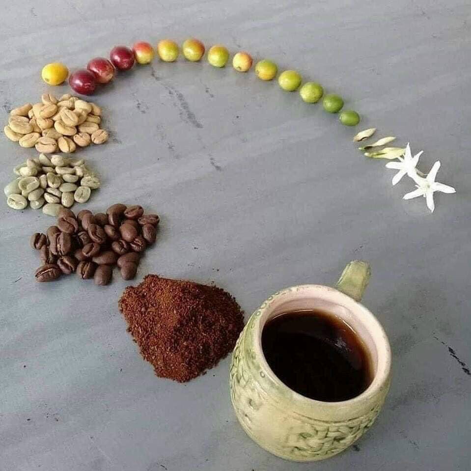 Cà phê bột nguyên chất - Cà phê rang xay nguyên chất - (Dak Lak) 500g