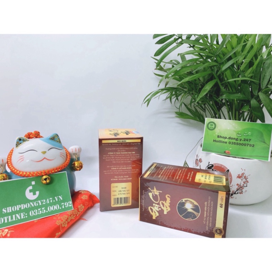 ✅ ĐẠI CỐT ĐAN 👍 ❤️ Lựa Chọn Cho Người ĐAU NHỨC XƯƠNG KHỚP