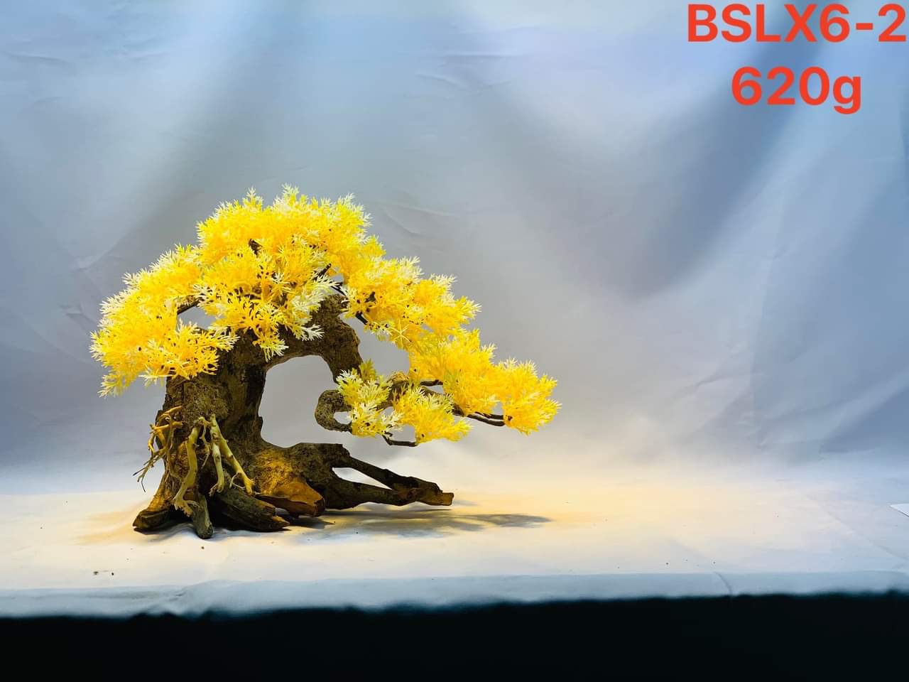 Gỗ lũa thủy sinh _ BSLX5 Driftwood bonsai_20 x25 (cm) _Cây gỗ lũa bonsai dáng đổ (Có 6 loại: Tán xương, tán gỗ, Bông Tùng xanh, Bông Tùng đỏ, Tùng Cam, Tùng màu kem)