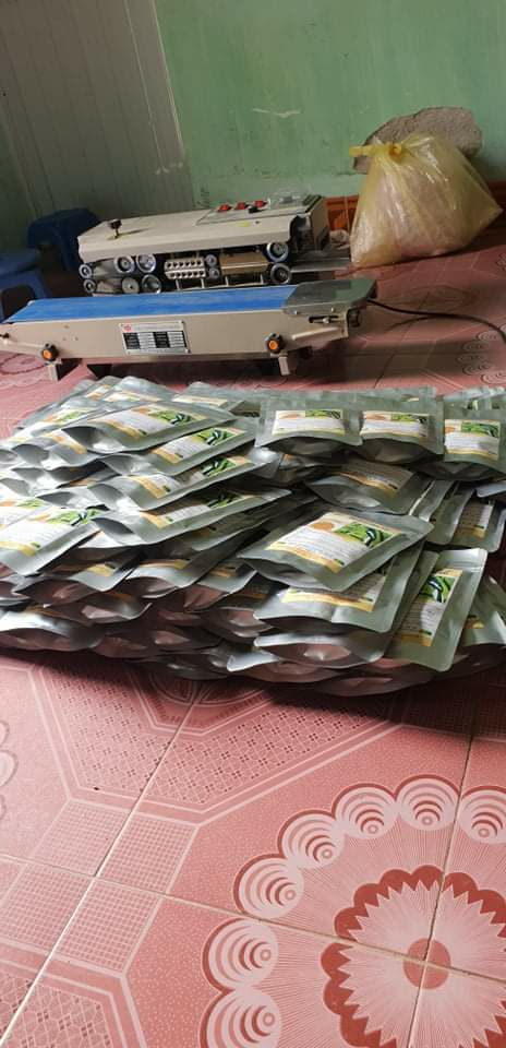CÁM CHẤT CHÍCH CHÒE LỬA, ĐẤT HOÀNG ĐẠI CA