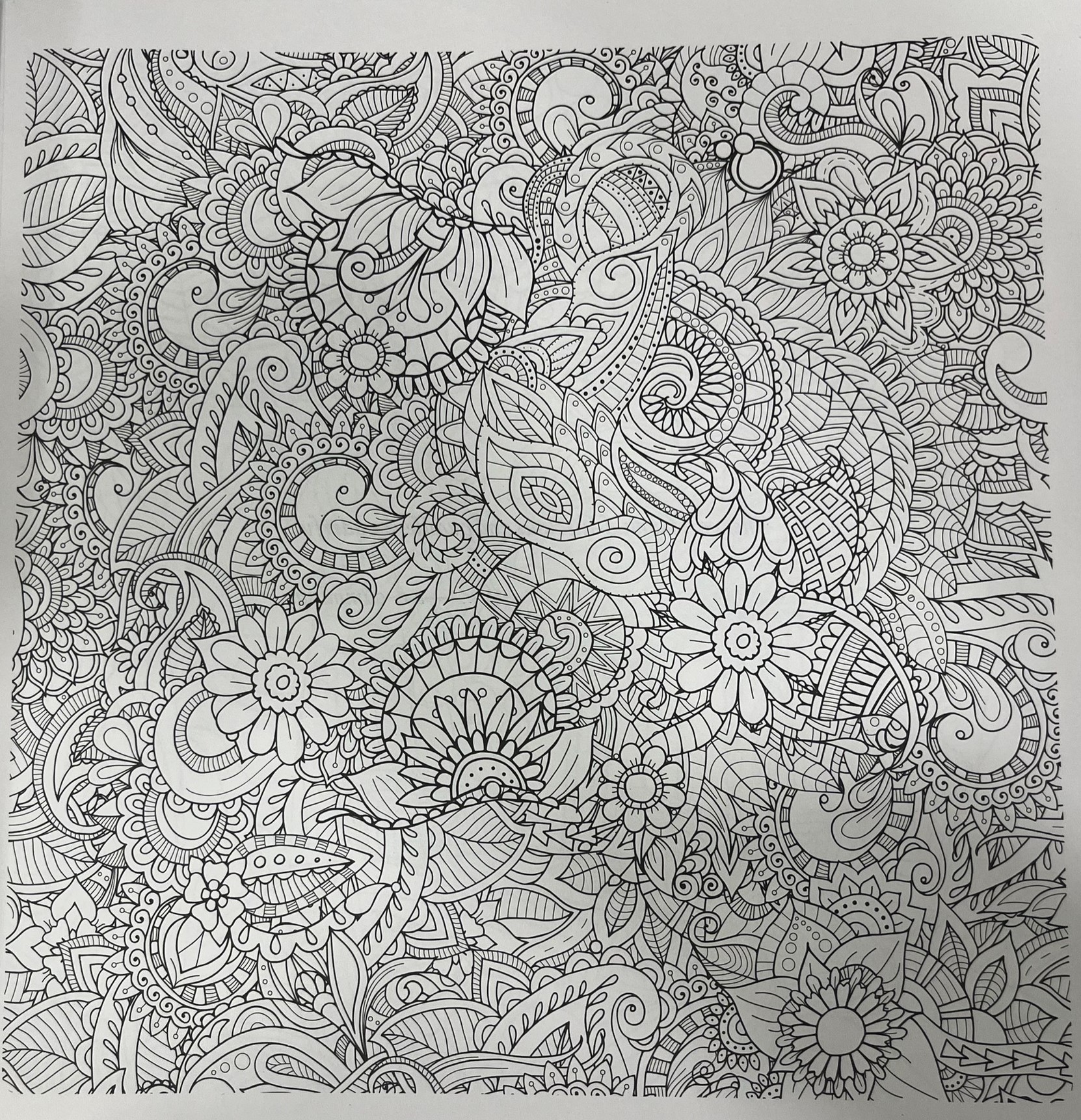 Nature - Colouring Book For Adults (Sách tô màu - Thiên Nhiên)