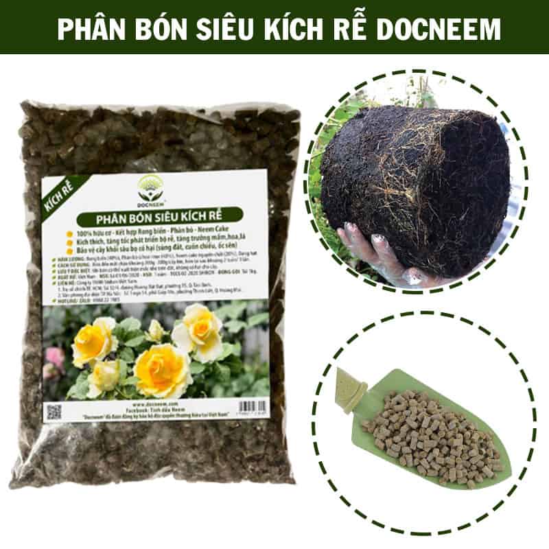 Combo Phân Bón Chăm Sóc Hoa Hồng Sau Ra Hoa