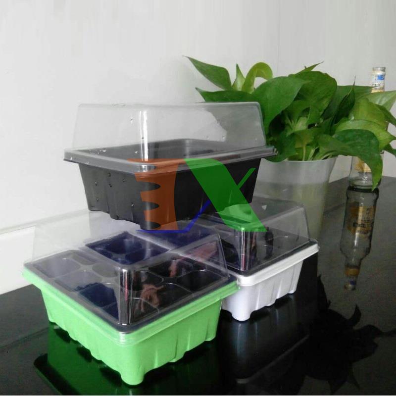 Set of 2 tray plastic ươm plant, vegetable seeds flower with lid (12 hole)