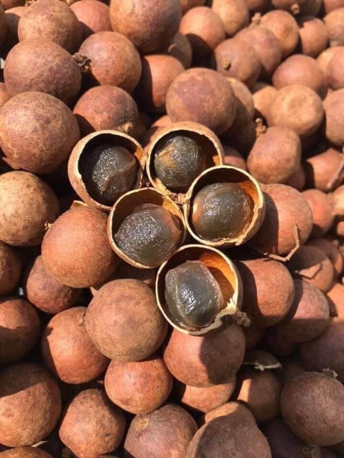 1KG Nhãn Sấy Khô Siêu Ngon ( Sỉ, Lẻ )
