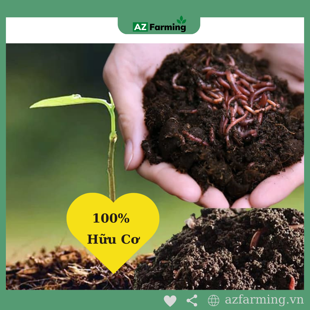 Phân Trùn Quế Hữu Cơ Bổ Sung Nấm Trichoderma - Gói 1kg - AZ Farming