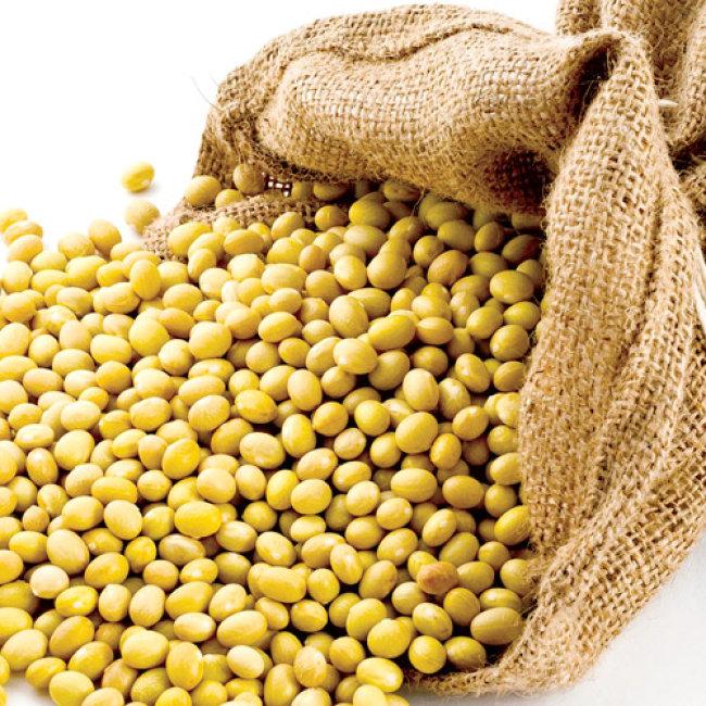2kg đậu nành sấy giòn