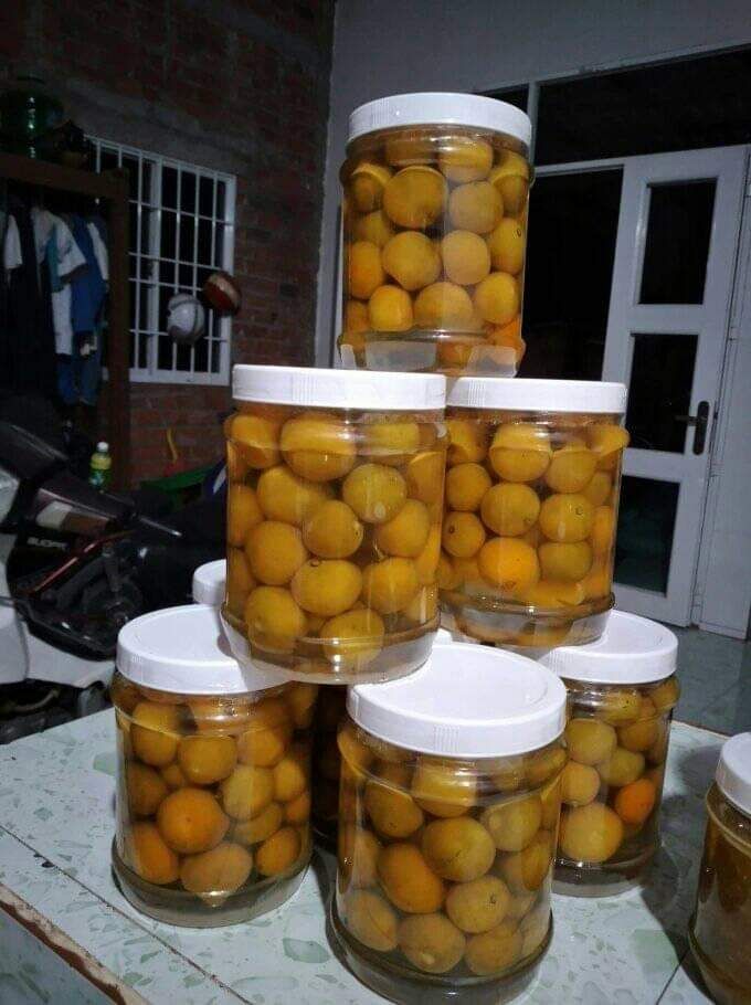 Tắc muối nguyên trái 1kg nhà làm