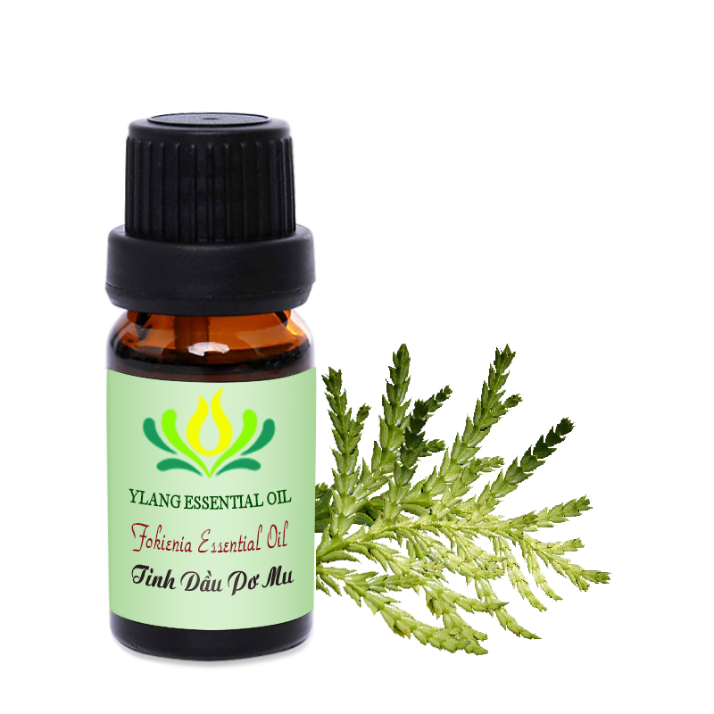 Tinh dầu Pơ mu (Hinoki) - 10ml , 50ml ,100ml