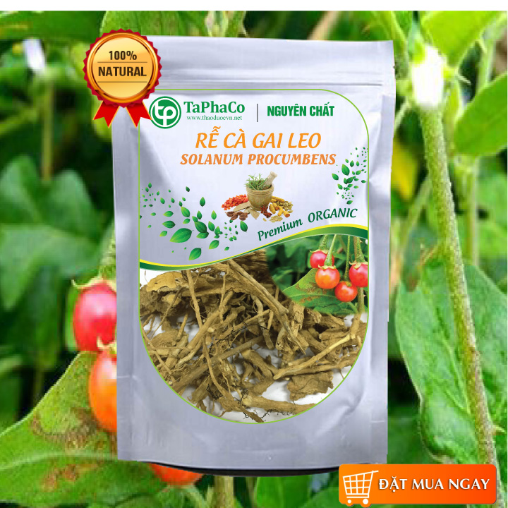 Rễ cà gai leo sấy khô 500g