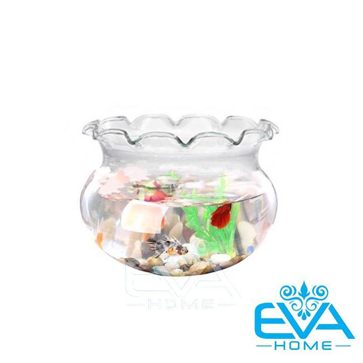 [HCM]Hồ Cá Bể Cá Thuỷ Tinh Miệng Bèo Dáng Thấp B5 8 x 7  Cm Tặng Kèm Sỏi Và Rong Trang Trí