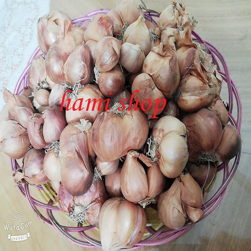 Combo 2kg hành Bắc khô loại 1 HKBN867
