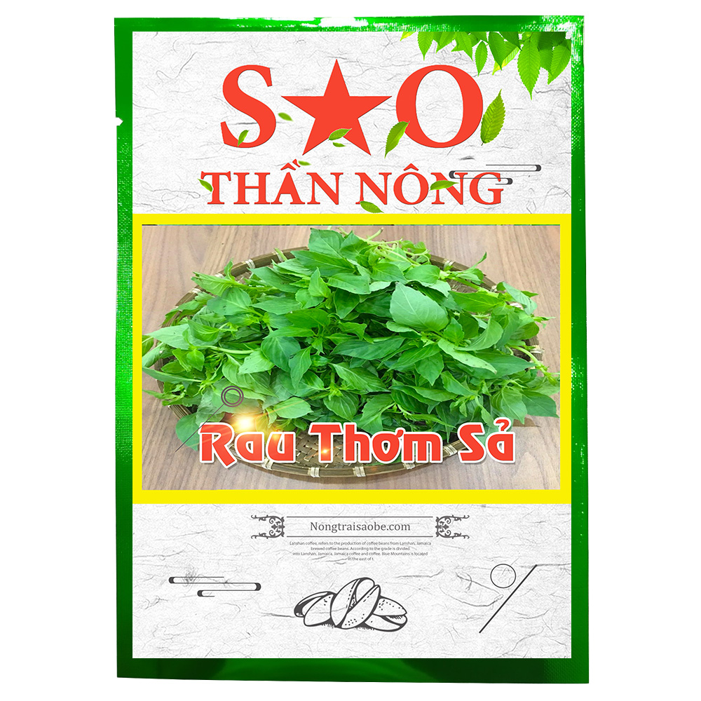 Hạt giống rau é trắng rau thơm sả húng thơm trắng