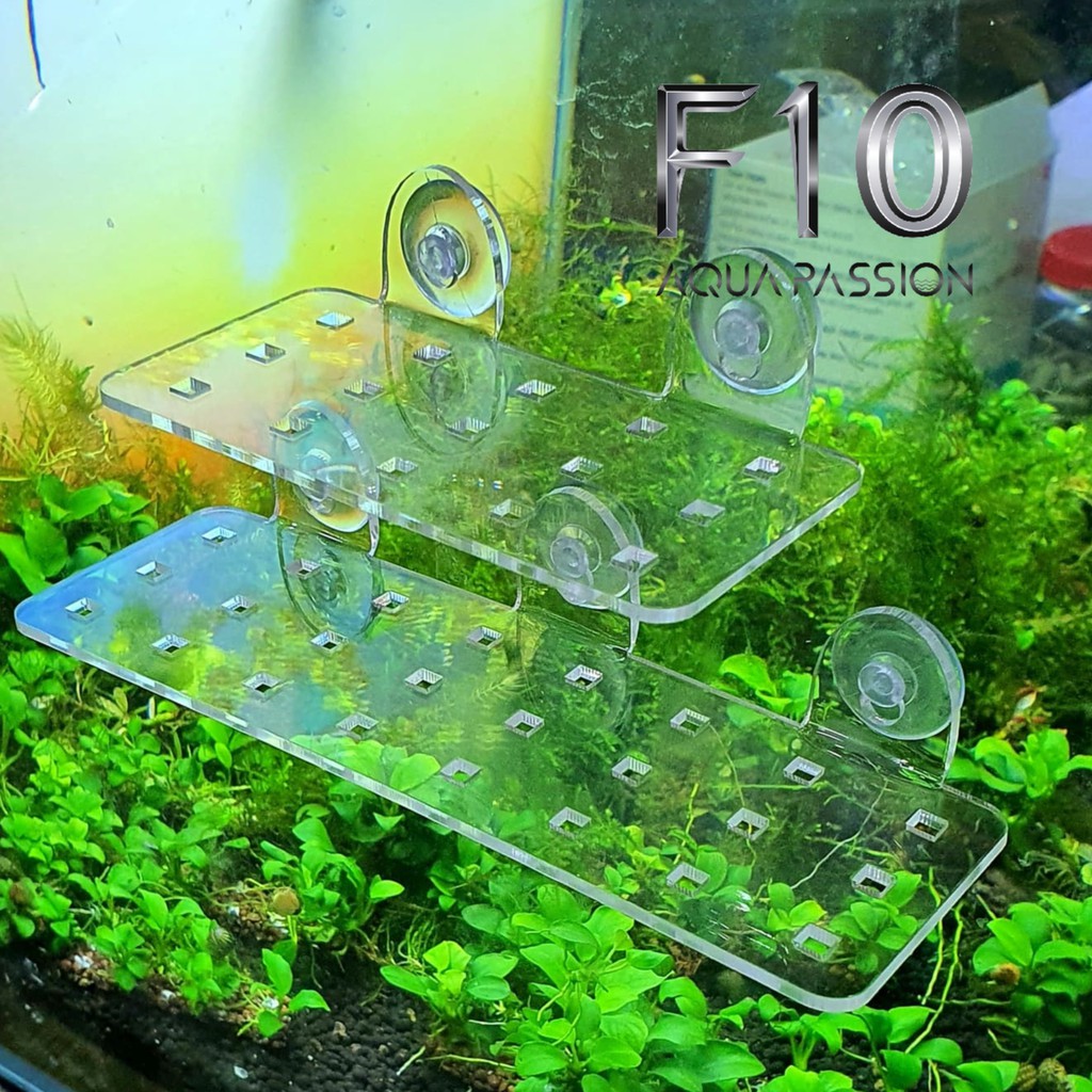 GIÁ ĐỠ CÂY THỦY SINH MICA - GIÁ THỂ MICA - DÀNH CHO BỂ CÁ CẢNH THỦY SINH - 5x10 CM
