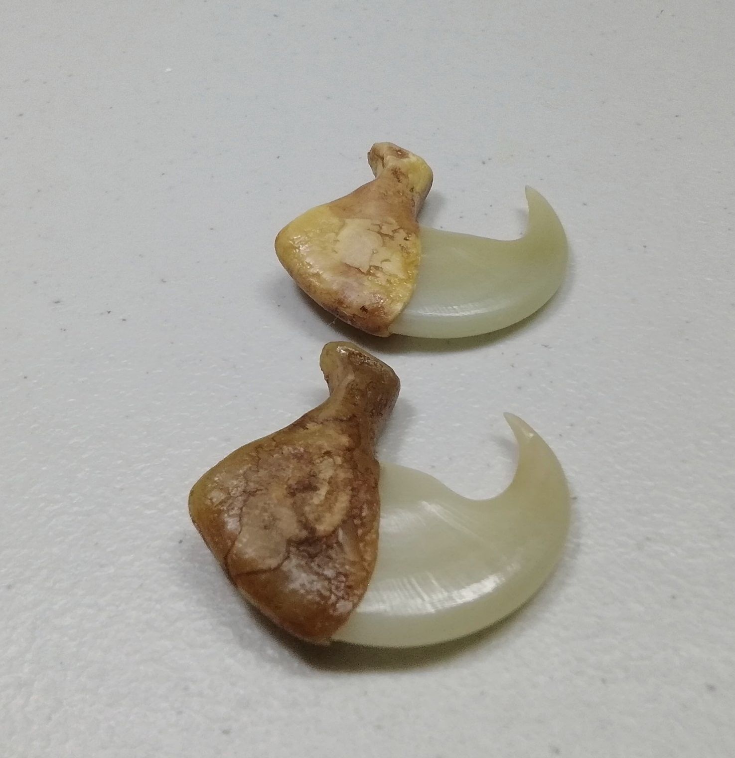MÓNG NHƯ THẬT SIZE 5CM
