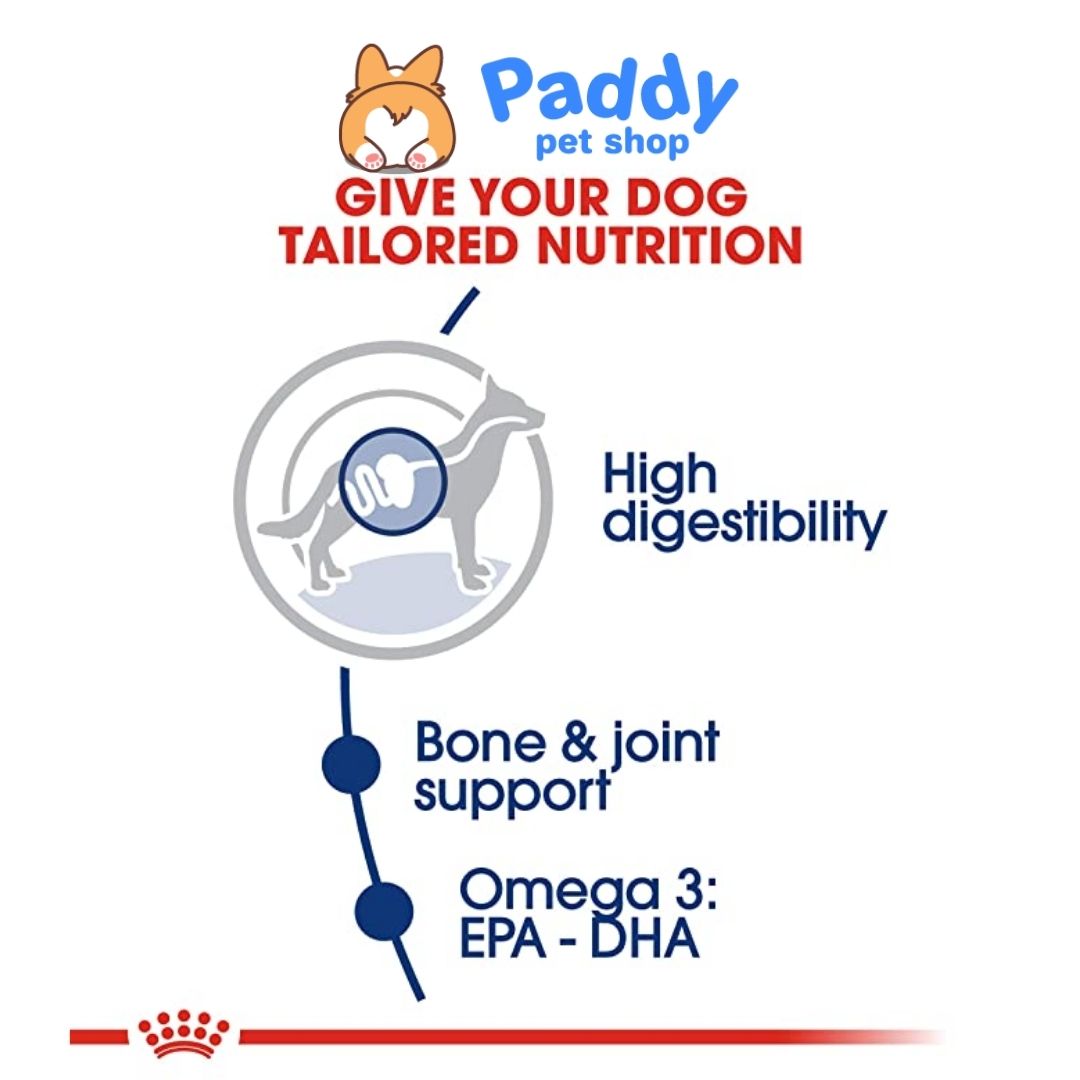 Hạt Cho Chó Con Giống Lớn Royal Canin Maxi Puppy