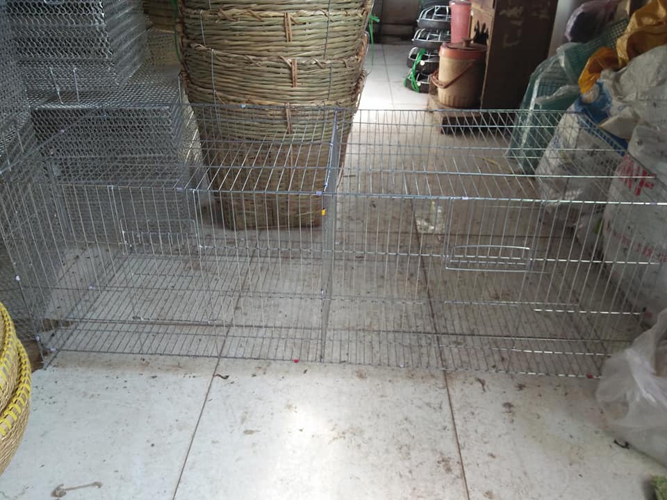 Lồng kẽm nuôi chim bồ câu 120 cm