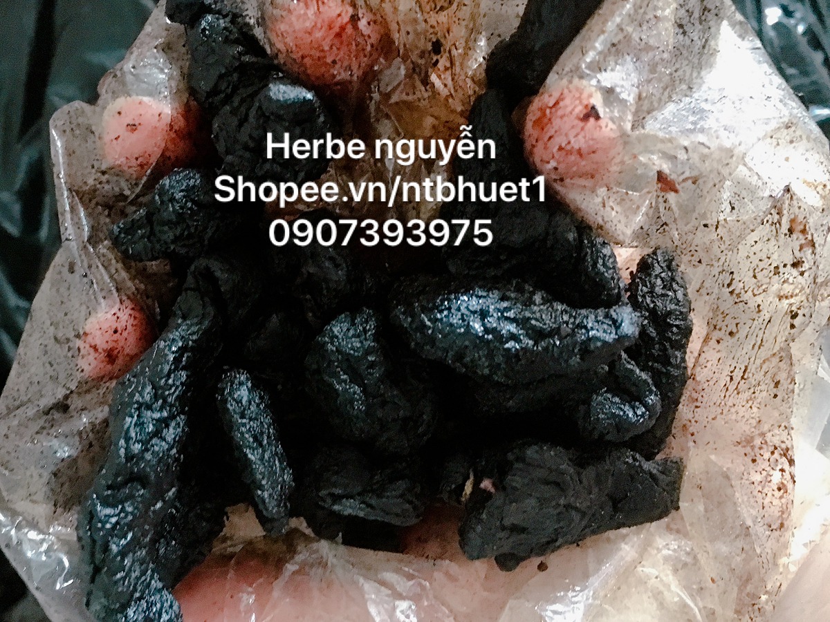 thục địa 100g