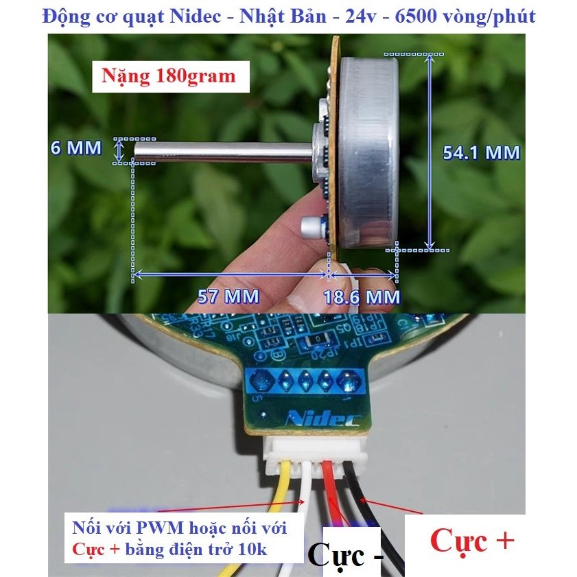 Động cơ quạt, đầu quạt 12v-36v các loại